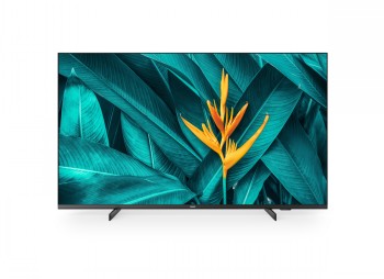 Philips MediaSuite Pro 50-inch hoteltv 50-inch Philips MediaSuite Pro TV met een moderne zwarte rand. Op het scherm groene bladeren en een gele bloem.