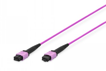 Twee paarse glasvezelnetwerkkabels met MPO-connector op een witte achtergrond.