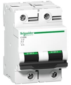 Schneider Electric C120N JSK stroomonderbreker, tweepolig, 100A. Tweepolige witte C120N JSK-stroomonderbreker met groene en zwarte schakelaars en het Schneider Electric-logo.