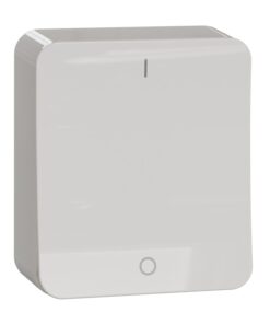 Witte omslag en moderne opbouwschakelaar, twee knoppen en minimalistisch ontwerp.