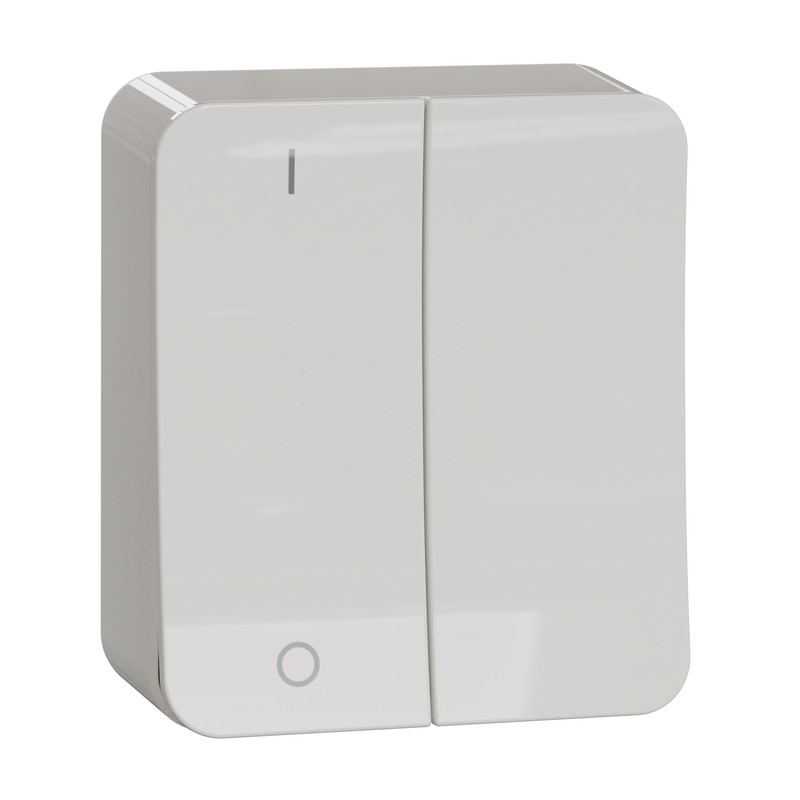 Witte Schneider Electric Exxact opbouw 2+1-schakelaar, afgeronde hoeken, twee knoppen en een klein controlelampje.